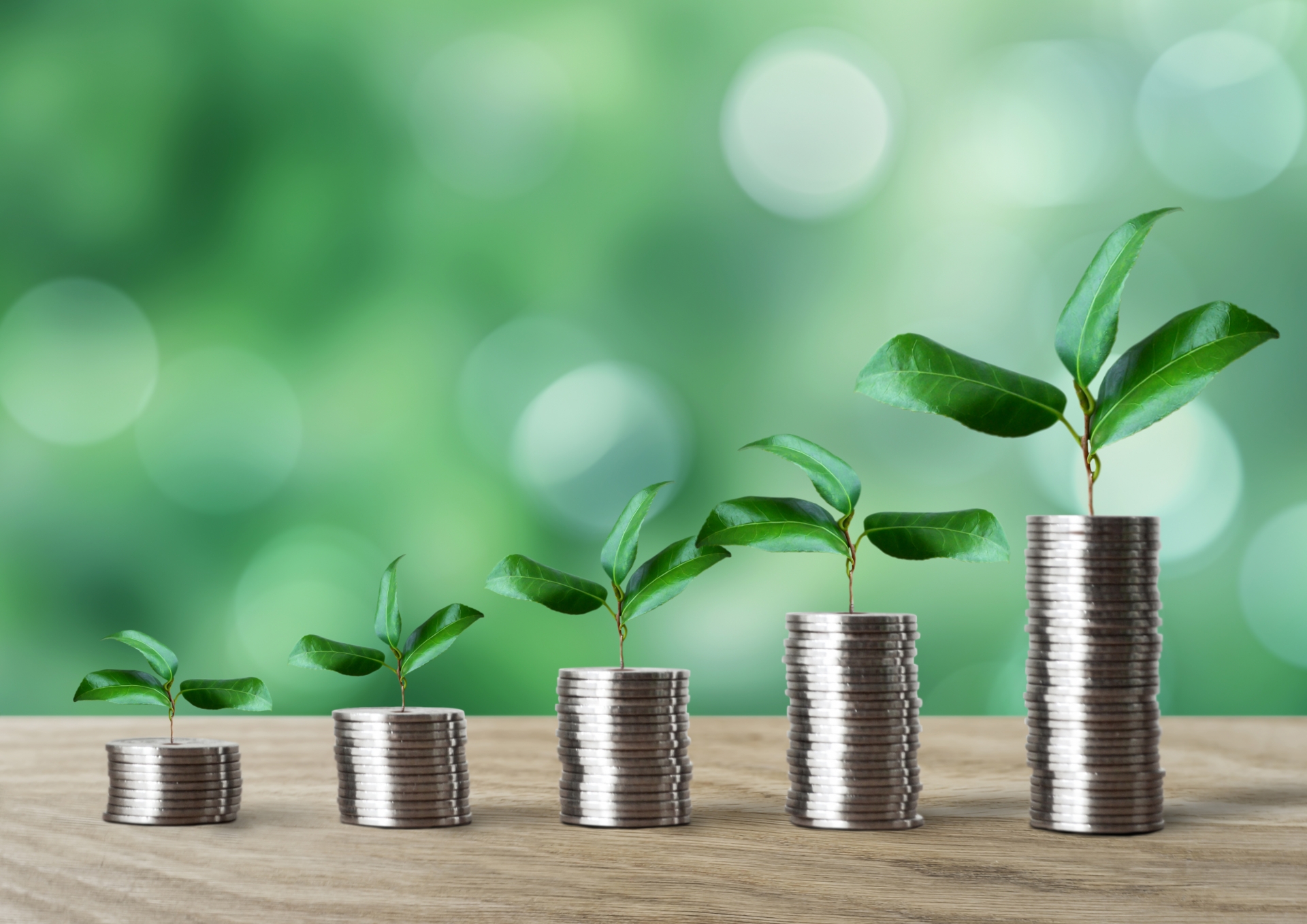 お金と育つ葉っぱ